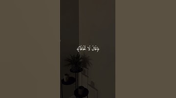 القارئ : شريف مصطفى سورة : طه #قرآن #اكسبلور #ارح_قلبك #قران_كريم #الصلاة_على_النبي #شريف_مصطفى . .