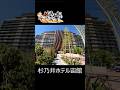 杉乃井ホテル宙館に宿泊#shorts #杉乃井ホテル #宙館