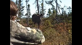 Brads First moose