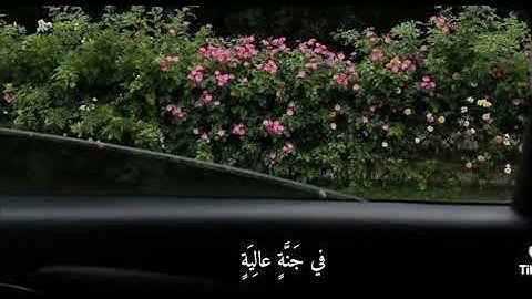 وُجُوهٌ يَوْمَئِذٍ نَّاعِمَةٌ} الآية:8 من سوره الاعلى 🤍🤍