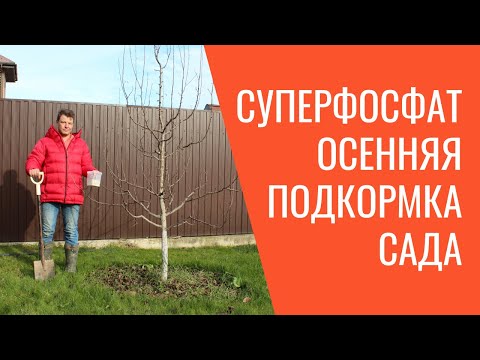 как правильно вносить удобрения под деревья! самый лёгкий способ