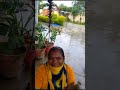 growing areca palms free