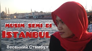 Весенний Стамбул | musim semi di İstanbul