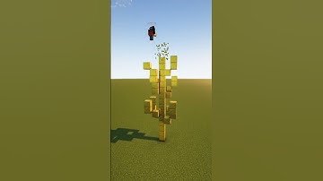 3 Different custom birch tree styles | Timelapse