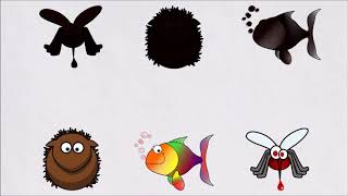 Drag n match animals for Toddlers and Kids screenshot 4
