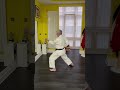 Static Kihon#karate#shotokankarate #pencaksilat#olahragapencaksilat #teknikdasarpencaksilat#trending