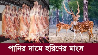 পানির দামে হরিণের মাংস !! গরু ও খাসির চেয় কম দামে বিক্রি হচ্ছে !! Deer || Meat || Bangladesh