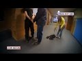 Student, Teacher Jump Into Action After Shot Fired at School - Crime Watch Daily with Chris Hansen