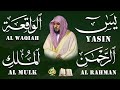 استمع بنية الرزق والشفاء والبركة بإذن الله   يس   الرحمن   الواقعة   الملك   الشيخ ماهر المعيقلي    