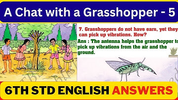 6th Standard English A Chat With A Grasshopper Question Answer | A Chat With A Grasshopper English