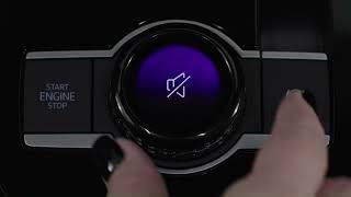 Full Driving Experience Dial Guide