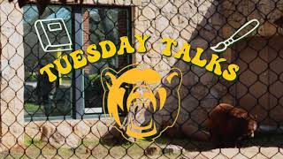 Tuesday Talk 2/23 - Housing Application Process Overview 2021