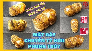 Mặt Dây Chuyền Tỳ Hưu Đá Phong Thuỷ  Thạch Anh Tóc Vàng - Cực VIP Chỉ Có Một - Xem Ngay - AntaGems