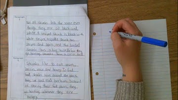 Performance Task Final Draft