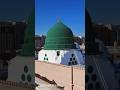 قیامت کی خوفناک نشانیاں جب علم ختم ہو جائے گا اور زنا عام ہو جائے گا قیامت کی خوفناک نشانیاں جب علم ختم ہو جائے گا اور زنا عام ہو جائے گا