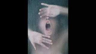 Soul Of The Nation By The Sha La Las