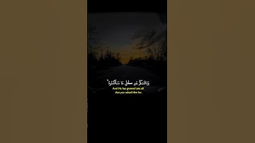 #القرآن_الكريم #تلاوة_خاشعة #المصحف #القزابري