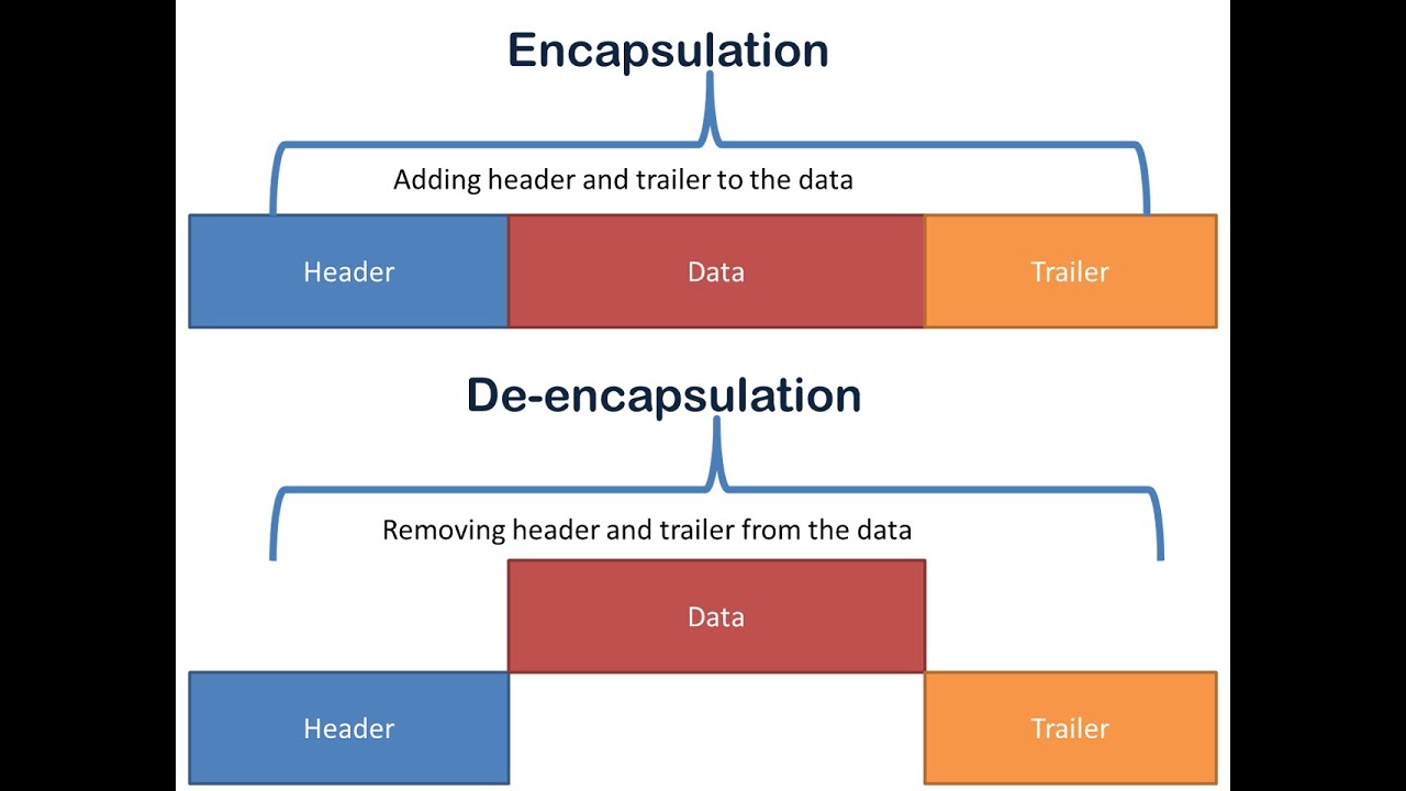 الفرق بين Encapsulation and De Encapsulation - YouTube