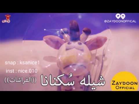 شيلة سكنانا