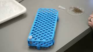 Celebrity Mosquito Control Lab Raw Video 1 Wealth