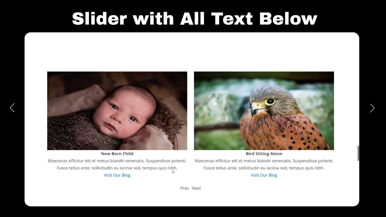 Slider Responsive Slideshow Plugin For WordPress Website & Blogs