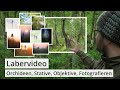 Naturfotografie: Heute mal ein LABERVIDEO inkl. Orchideen, Stativen, Objektiven und FOTOGRAFIE