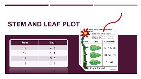 Stem and Leaf Plot 🌿