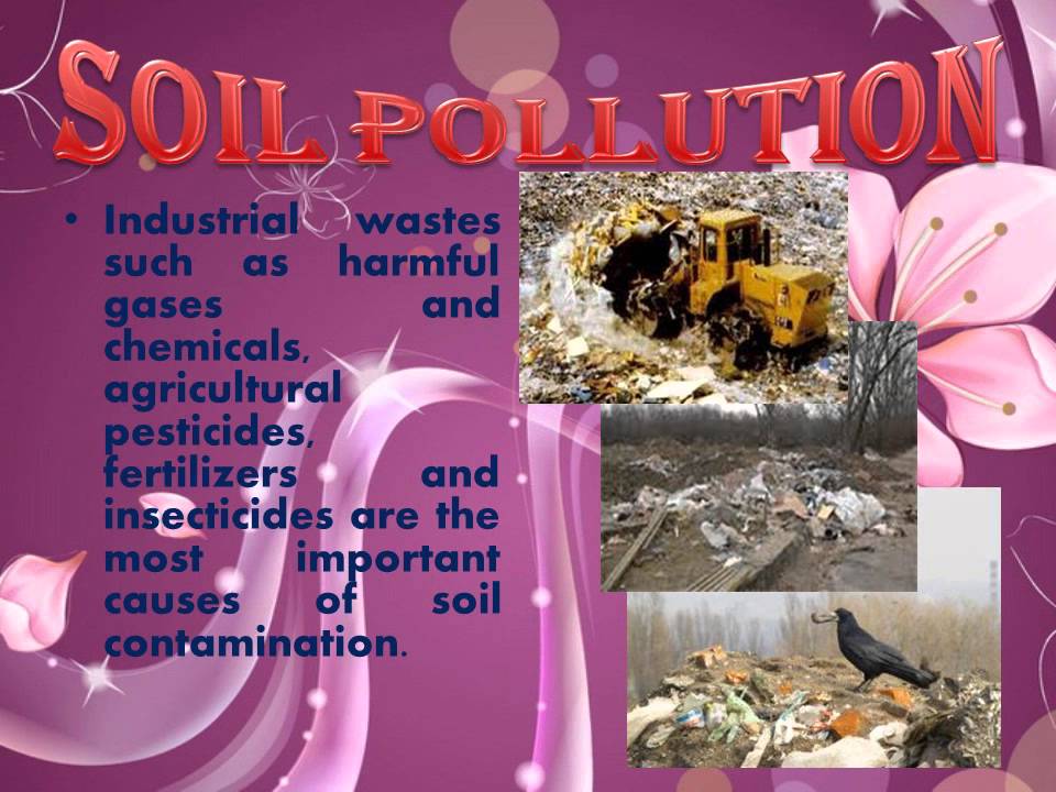 environmental problems in ukraine essay
