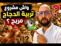 الخسارة الكبيرة في تربية الدجاج هذا هو الخطأ الذي يقع فيه الجميع mp3