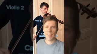 Lorenzo Bellafontana Vs. Nicola Amati Violin