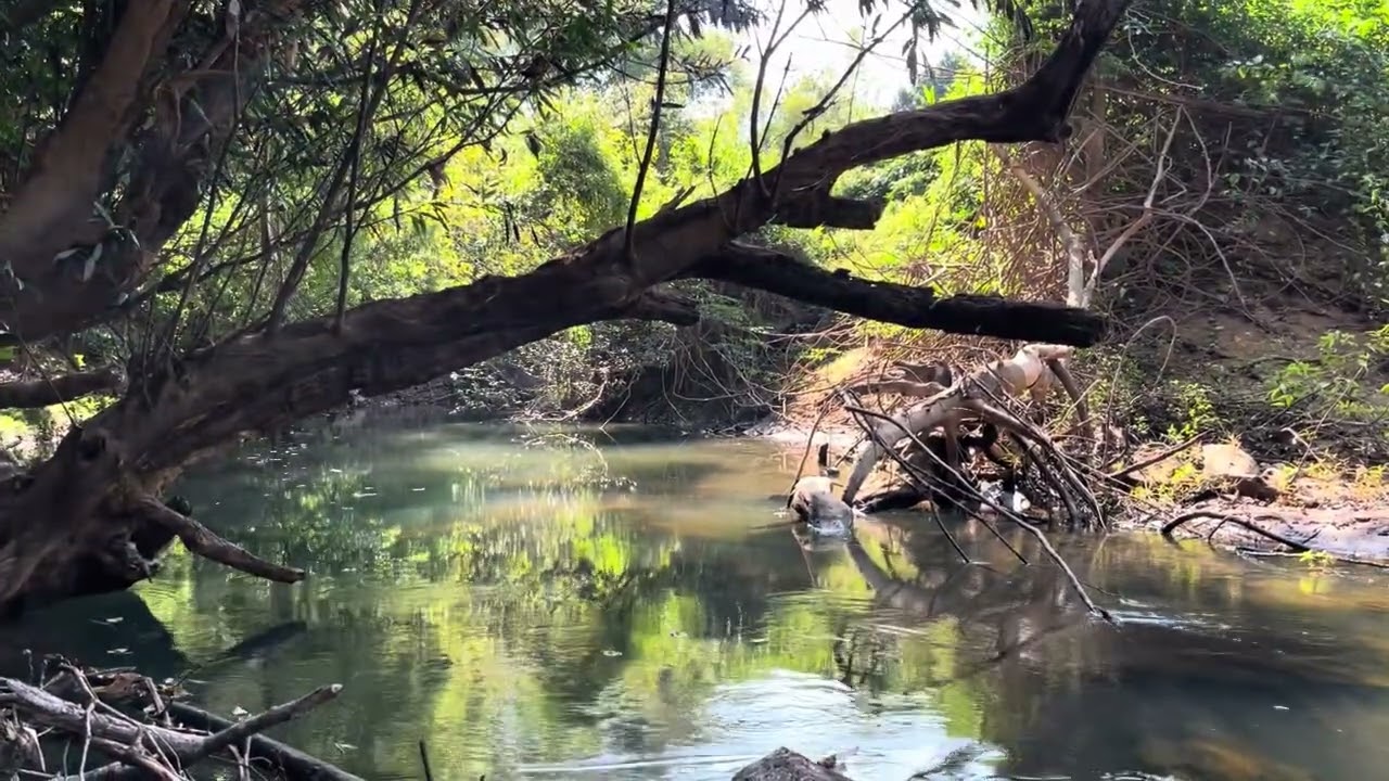 หน้าแล้งน้ำแห้ง หากุ้งมาก้อย วิถีคนอิสาน EP.4