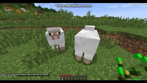 How to get creative mode in Minecraft demo