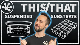 Suspended vs Substrate Reptile Egg Incubation | This or That?