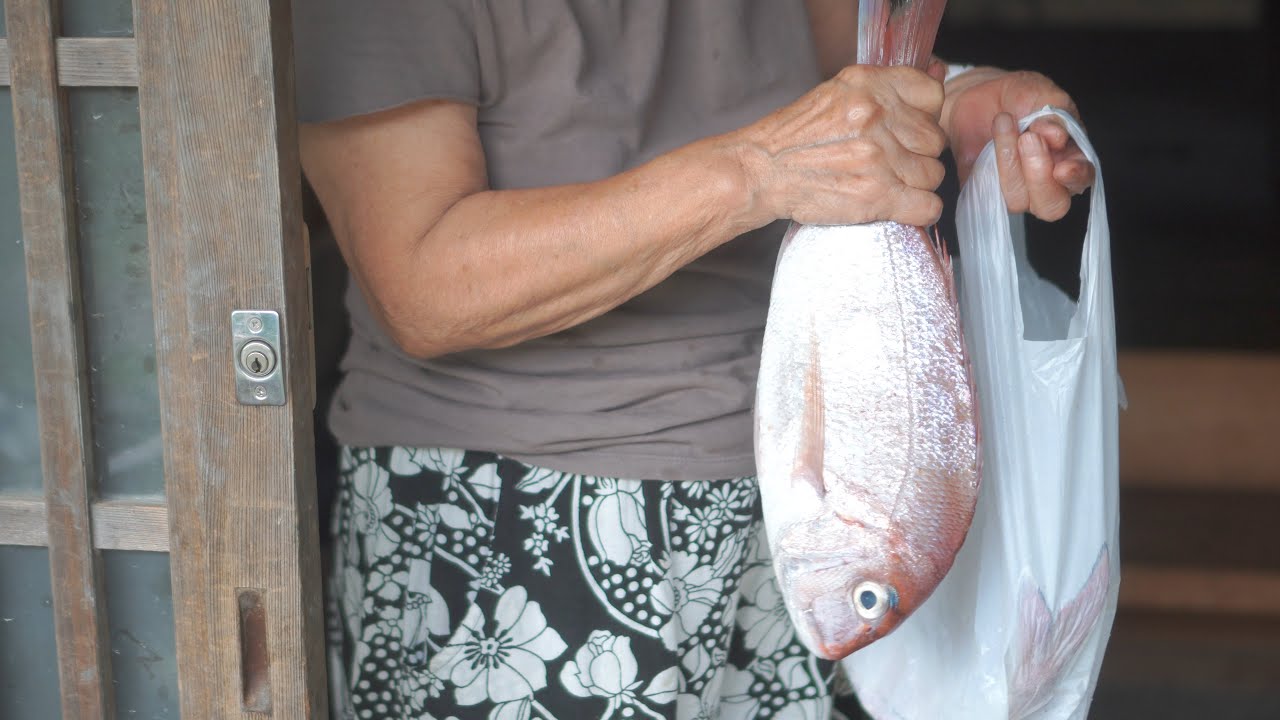 田舎暮らし vlog｜我が家に鯛がやってきた！｜宇和島の鯛めし風｜二人で鯛を食べ尽くす｜天然酵母で作るあんドーナツ｜＃9