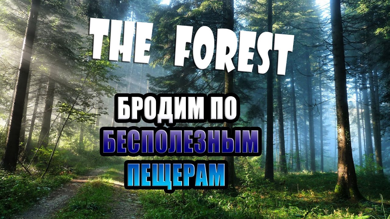 На сколько изучен лес. Картинки где много ПАСХАЛОК лес