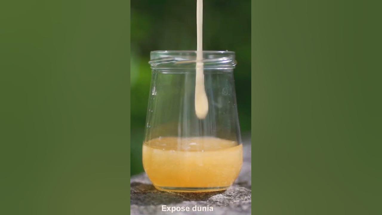 Where Can I Buy Sour Honey From Brazil Sour Honey In Brazil #shorts #honey #brazil - YouTube