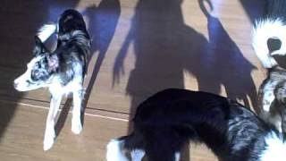 2-12-11 - VID00001.AVI