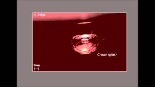 The Inner World of a Collapsing Bubble