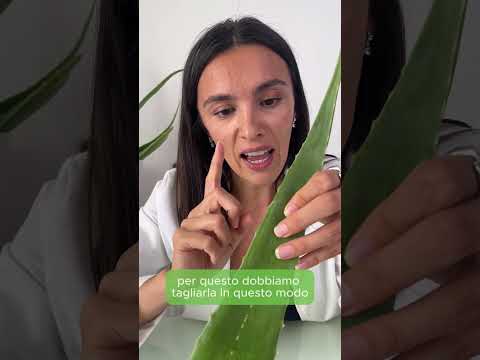 Video Come estrarre il gel di aloe vera e come conservarlo