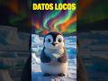 ¡Datos INSANOS sobre los Pingüinos que te dejarán con la boca abierta! 🐧😲