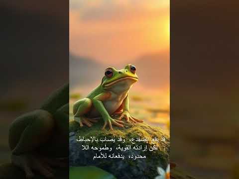 قصة قفزة الضفدع خطوات صغيرة نحو أحلام كبيرة قصة تحفيزية قفزة الضفدع رحلة النجاح قصص ملهمة