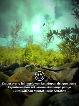 story wa? di siang hari