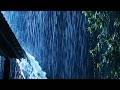 Rain Therapy for Insomnia | Heavy Rain on Leaves to Sleep Deeply Without Interruption