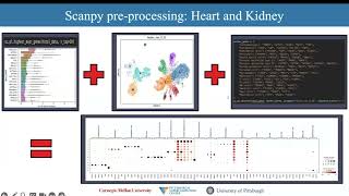 Hubmap Summer Internship 2025 - Presentation 9