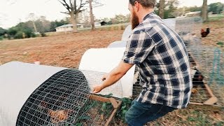 the $5 Chicken Tractor