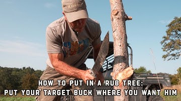 Put Your Target Buck EXACTLY Where You Want Them! | How To Make The Perfect Rub Tree