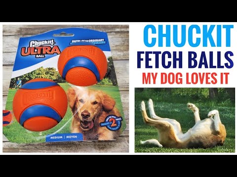 MEIN HUND LIEBT Chuckit! Ultra Ball Fetch Hundespielzeug – Testbericht