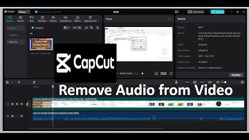 Hoe verwijder je audio uit elke video in CapCut PC