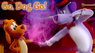 The Magic and Talent Show | GO, DOG, GO | NETFLIX