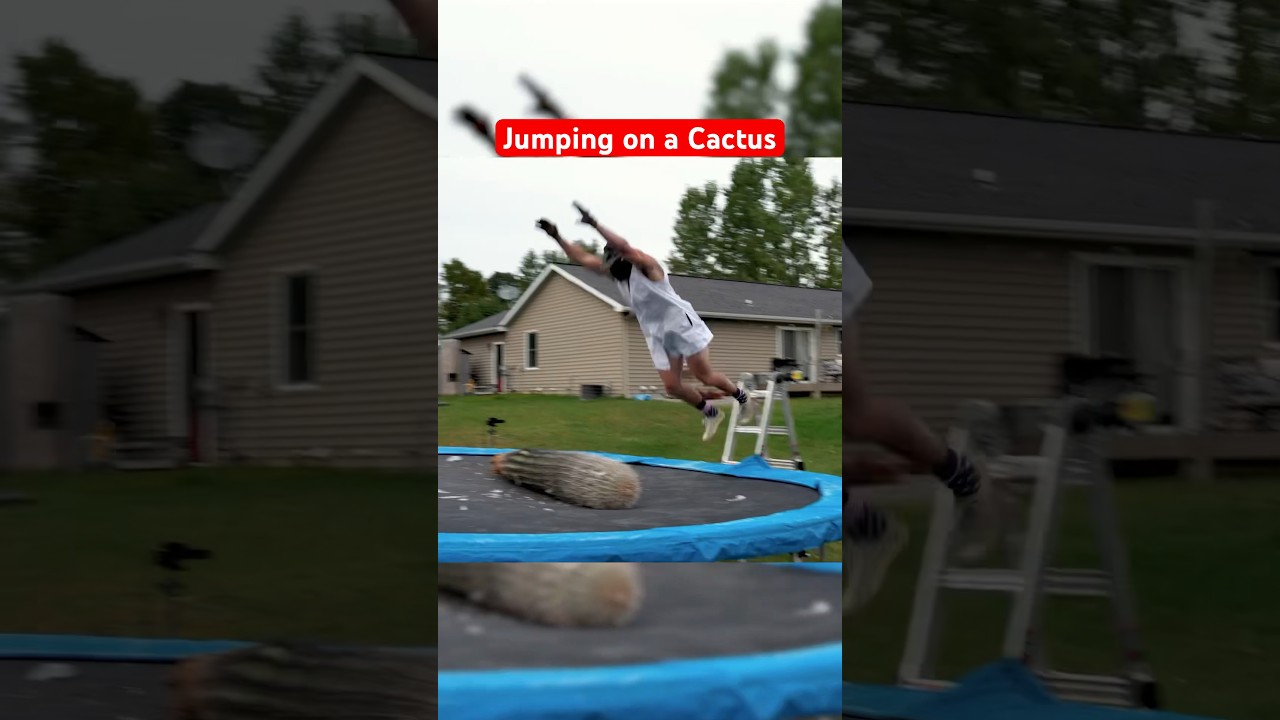Belly Flopping on a 6 Foot Cactus #funny #experiment #fail - YouTube